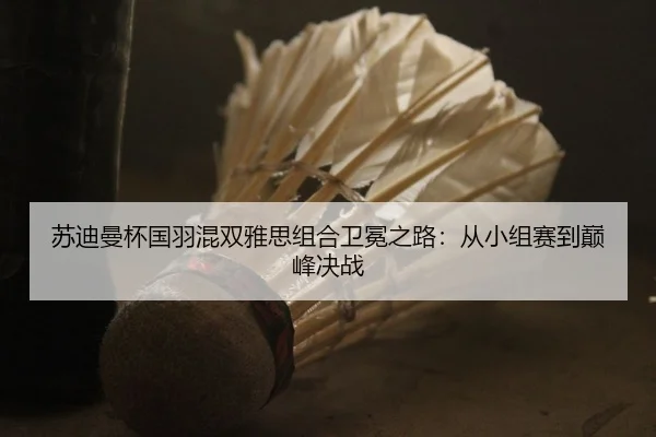 苏迪曼杯国羽混双雅思组合卫冕之路：从小组赛到巅峰决战