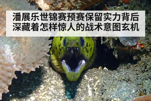潘展乐世锦赛预赛保留实力背后深藏着怎样惊人的战术意图玄机
