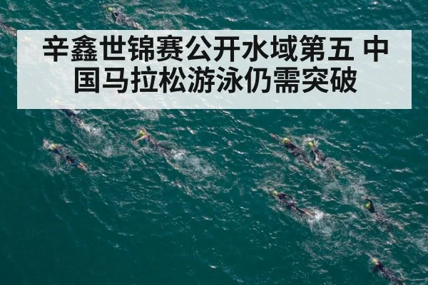 辛鑫世锦赛公开水域第五 中国马拉松游泳仍需突破