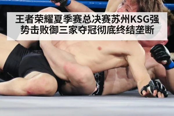 王者荣耀夏季赛总决赛苏州KSG强势击败御三家夺冠彻底终结垄断